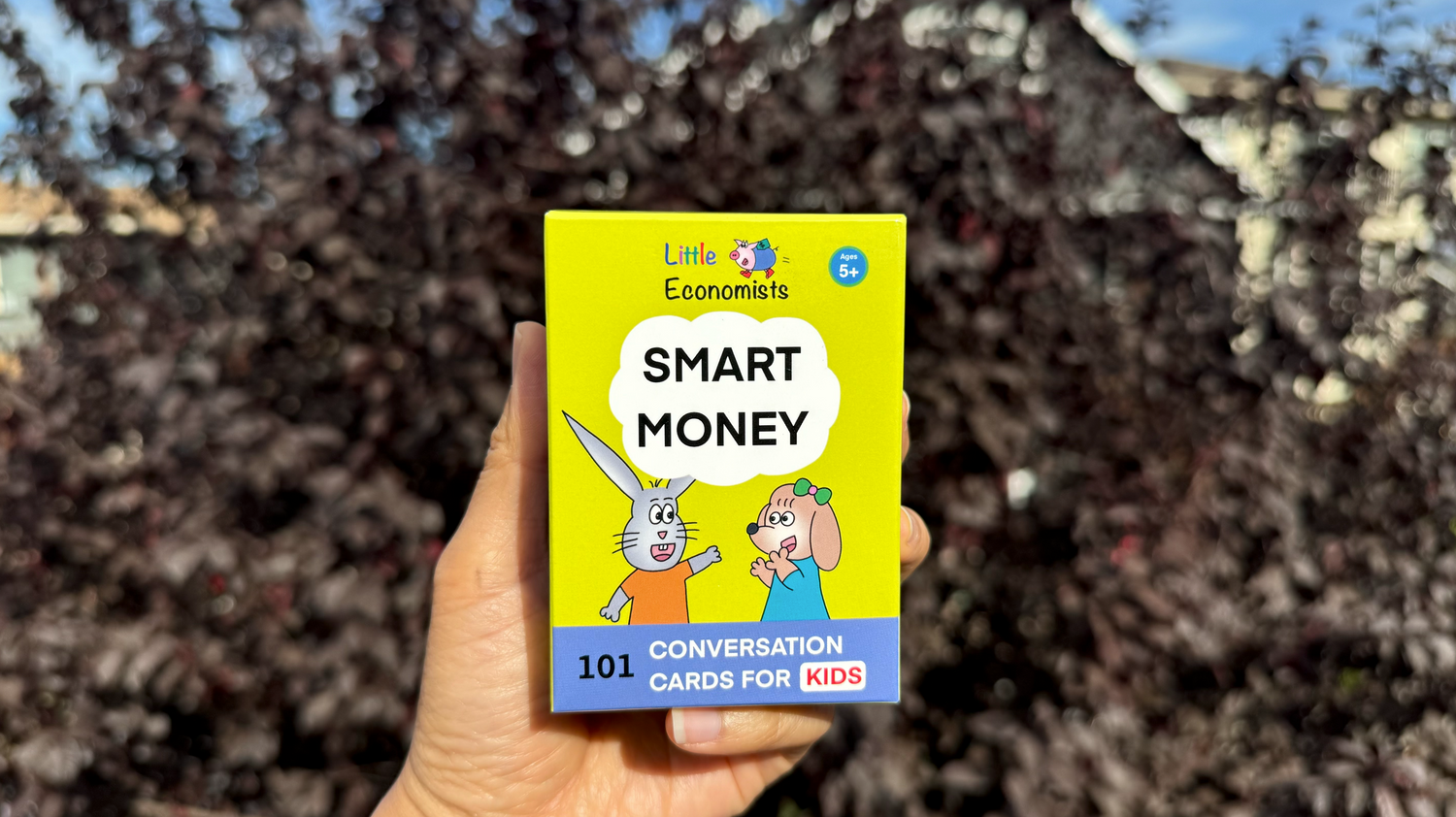 Holding Smart Money Cards